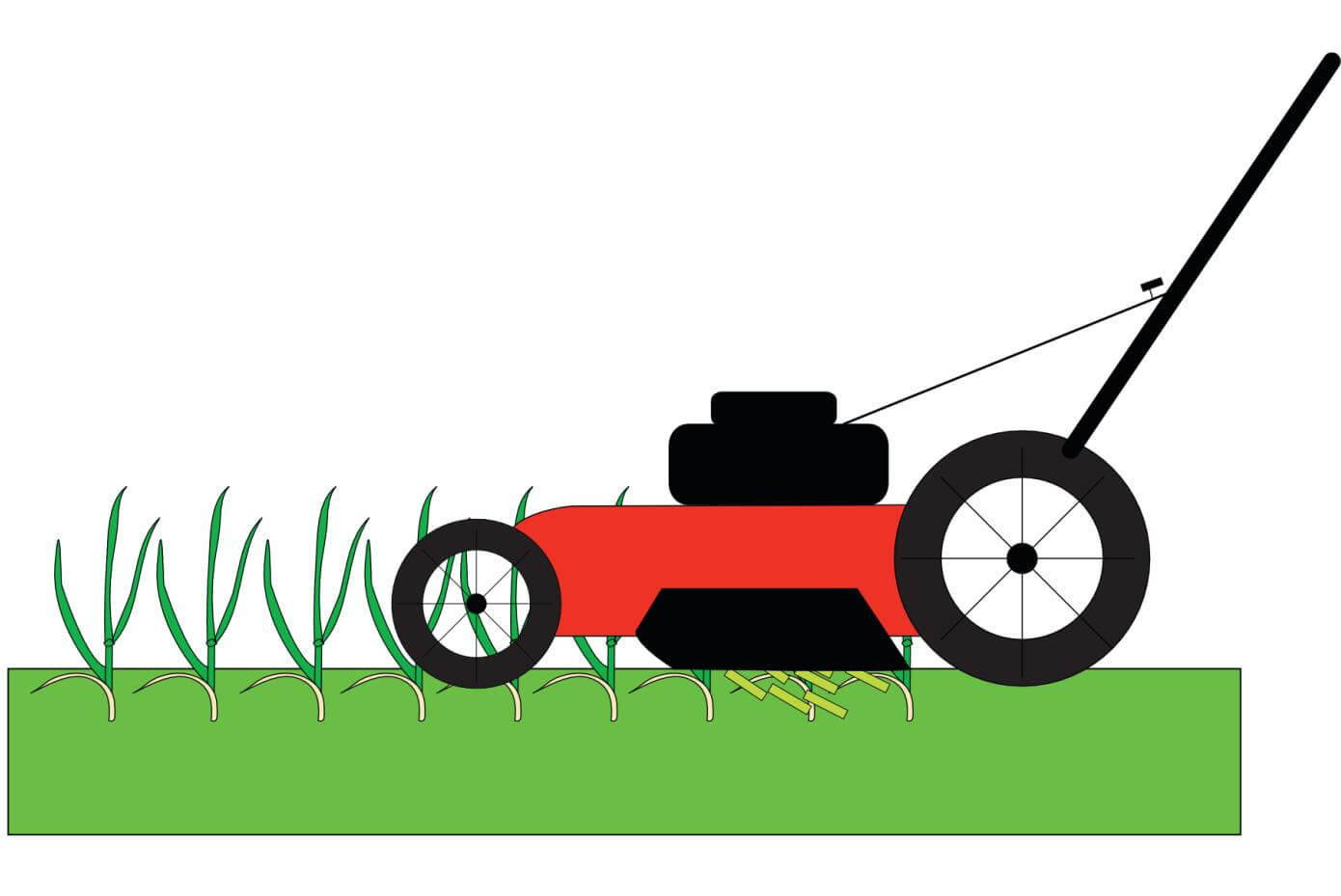 Illustration of a lawn mower mowing grass.