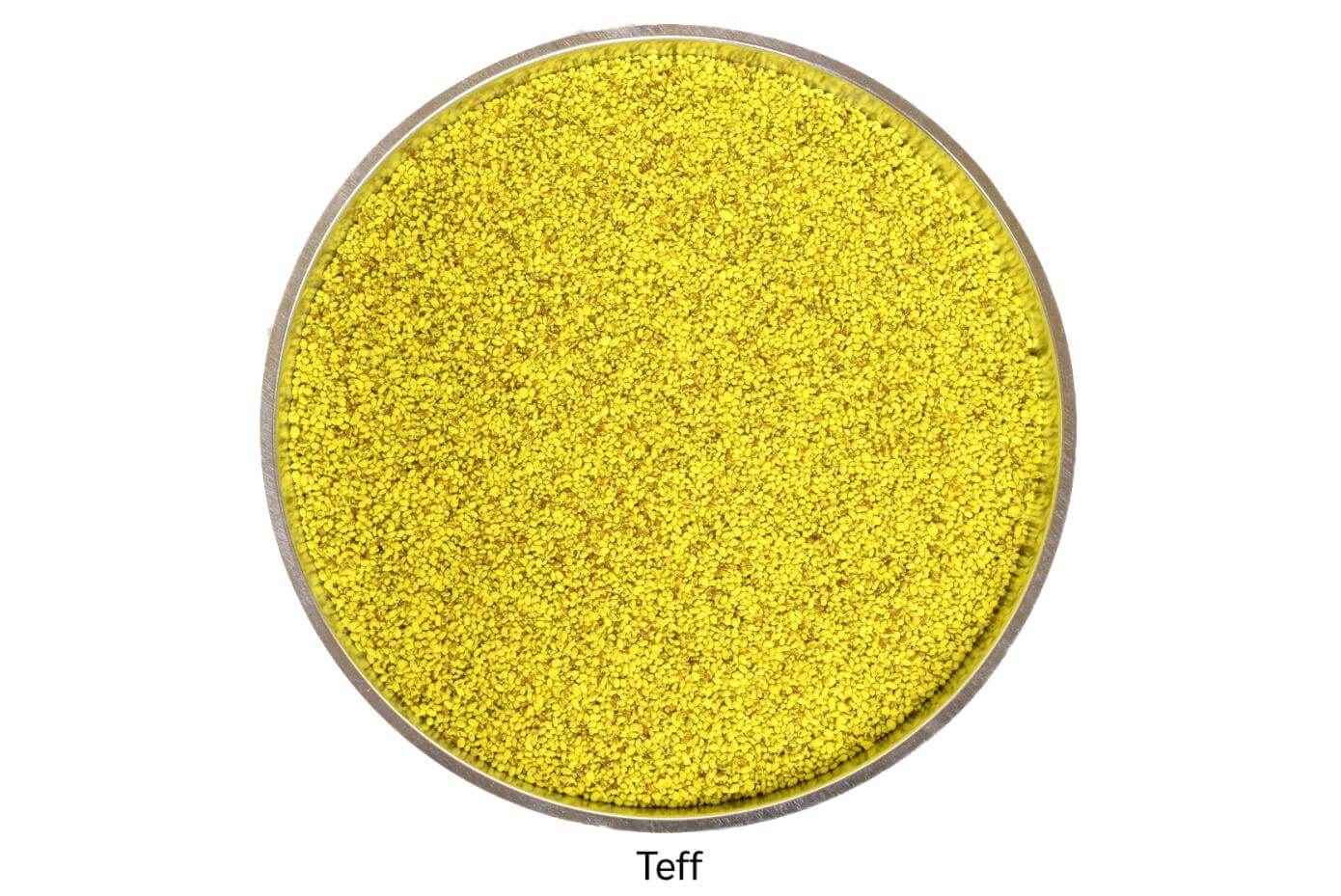 Coated teff seed